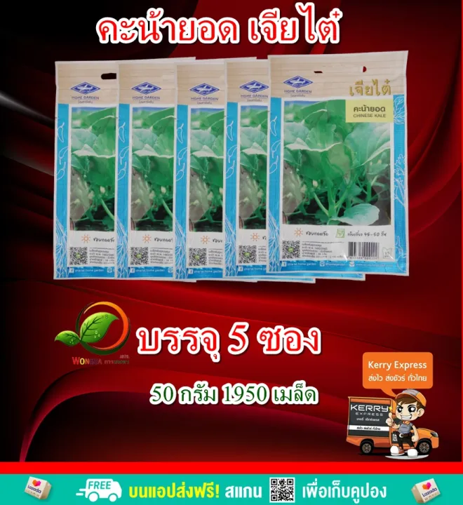 เมล็ดคะน้ายอด เจียไต๋ บรรจุ 5 ซอง