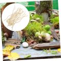 20Pcs Ranting Willow Asli Kraf Ranting Pokok Cawangan Kering untuk Hiasan DIY. 