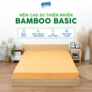 Nệm Cao Su Thiên Nhiên Á CHÂU BAMBOO BASIC Lỗ Thoáng Khí Tản Nhiệt 2 Mặt Êm Ái Giảm Đau Lưng Tặng Kèm Quà 7 Món