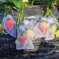 100 Pieces Green Fruit Protection Bags- 6x8 Inch Fruit Netting Bags with Drawstring,Garden Fruit Cover Mesh Bag to Protect Plants from Pest Birds Squirrels. 