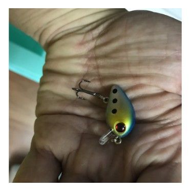 Mồi giả chuyên bắt cá rô phi, rô ta, chuối, lóc, sộp, thiểu, ngão,chim  (cam kết bán hàng chất lượng có bảo hành)