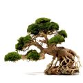 Lũa bonsai mini cho bể cá thủy sinh 25x20 - [Xưởng ts online37], cam kết hàng đúng mô tả, chất lượng đảm bảo, đa dạng các mặt hàng đáp ứng nhu cầu của người sử dụng. 