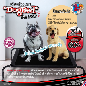 Elevated Dog Bed เตียงสุนัขพร้อมตาข่าย ที่นอนหมา เปลสัตว์เลี้ยง ที่นอนสุนัข ที่นอนสัตว์เลี้ยง ที่นอนหมา เตียงแมว