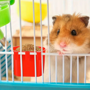 3pcs Pet Hanging Bowl Bird Feeding Hanging Bowl Cage Anti-Overturning Plastic Bowl Dog Cat Feeder