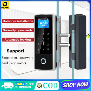 Boland Fingerprint Door Lock Glass Wooden Metal Door Smart Electric Gate Opener RFID Card Password Electronic Gate Lock Security Password