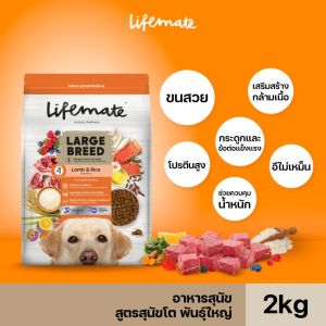 (2-3กิโล) Lifemate【อาหารสุนัข】ไลฟ์เมท อาหารเม็ดสุนัข ครบทุกสูตร ผิวหนังสุขภาพดี ด้วย Omega 3 และ 6