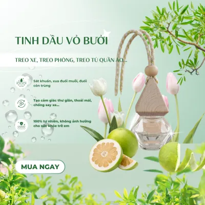 Lọ Tinh Dầu Treo Xe Hương Bạc Hà Cao Cấp Khuếch Tán Thơm Phòng Khử Mùi Ô Tô Toilet Tủ Quần Áo Tự Nhiên Kháng Khuẩn 10ml