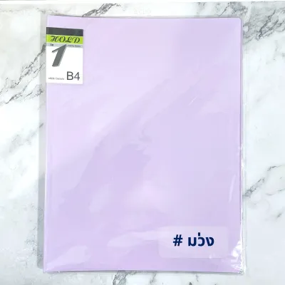 แฟ้มใส่โฉนด OST HB-420 สำหรับใส่โฉนดที่ดิน หรือเอกสารขนาด B4 / 20 ซอง (โชว์เอกสารได้ 40 แผ่น หน้า-หลัง)