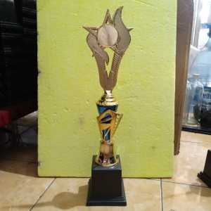 cod Piala Lomba Juara 1 2 3 4 (s12 body biru) "costum" (bisa satuan juga) & free sticker termurah