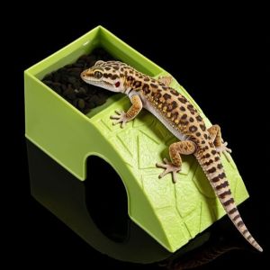 OUTOPEN With Moss Tray Reptile Hideout Cave Plastic Anti Drowning Automatic Feeding Plate Aquarium Habitat Smooth Surface Reptile Feeding Box Landscape Accessories