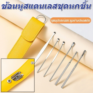 ชุดที่แคะหูสแตนเลส 6 ชิ้น ชุดแคะหูสแตนเลส ที่ตักหู ผู้ใหญ่ ซองหนัง สแตนเลส ชุดเครื่องมือ