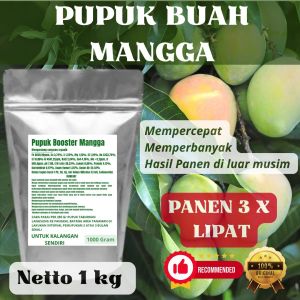 Pupuk Booster Mangga Pelebat Organik Cepat Berbuah Lebat Besar Anti Rontok Pembesar Mangga