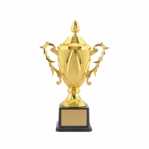 PAZNUL Gold Color Metal Trophy Large Size Metal Model Competition Trophy Souvenirs Plastic Model Prize Cup School Sports Meeting