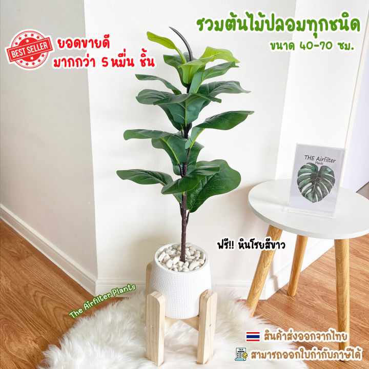 ต้นไม้ปลอม มอนสเตอร่า ไทรใบสัก พร้อมกระถางและหิน