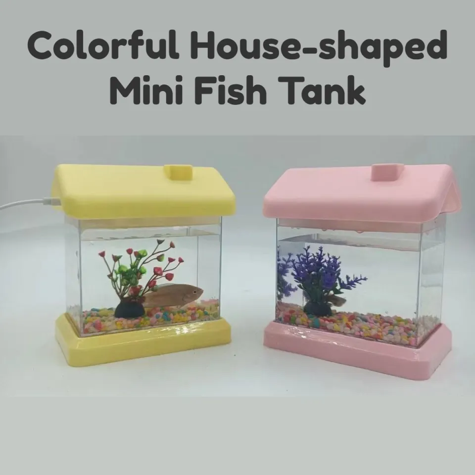 Nano Ecosystem Fish Tank You Can Put Anywhere! 