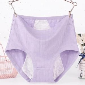 SHUNAICHI  Menstrual Underpants Plus Size Cotton Panties for Menstruation High Waist Leak Proof Physiological Period Pants XL-6XL Briefs