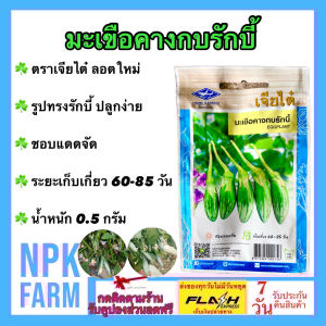 ผักซอง เจียไต๋ มะเขือคางกบ รักบี้ น้ำหนัก 0.5 กรัม หมดอายุ 12/69 ลอตใหม่ งอกดี ปลูกง่าย ทรงรักบี้ โตไว ผลผลิตดก ระยะเก็บเกี่ยว 60-85 วัน npkplant