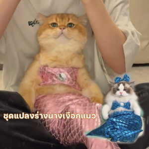 【So starry】CODชุดแปลงร่างนางเงือกแมว หมา แมว เสื้อผ้าสัตว์เลี้ยง ชุดแมว หางปลา ชุดว่ายน้ําตลก