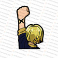 PEEKER STICKERS One Piece Luffy Sanji Zoro Nami Usopp Chopper Robin Gear 5 Uta Waterproof. 