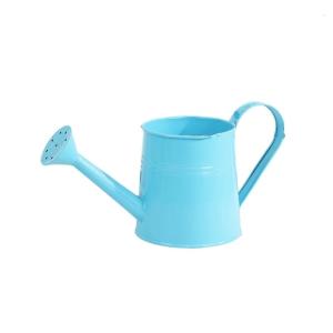 Metal Watering Can for Indoor Long Spout Watering Can Indoor Watering Can for House Flowers Succulents