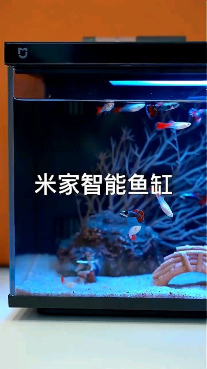 Bể cá thông minh Xiaomi Mijia Smart Fish Tank MYG100 20L kết nối