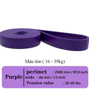 Dây đa năng hổ trợ tập luyện powerband nhiều mức kháng lực WP