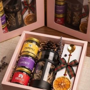 3 Premium Tea jars French press tea scooper orange slice pine cone giftset