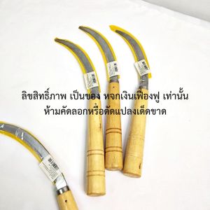 เคียว เคียวเกี่ยวข้าว เคียวเหล็ก  ด้ามไม้ แพ็ค 10 ด้าม ถางหญ้า ใบมีดคม