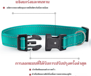 เชือกสัตว์เลี้ยงสายสำหรับสุนัขขนาดเล็กและกลางที่เหมาะสมสำหรับการเดินเล่น