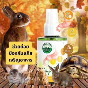 ผลิตภํณฑ์ช่วยย่อยโปรไซม์ป้องกันการเกิดแกสในกระต่ายทุกวัย 120ml