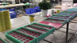 Collection of 6 Pink Piggy Figures Cartoon Pig Miniature Ornaments for Car Interior and Home Office Decorative Displays