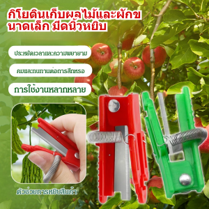 การใช้งานต่างๆ กิโยติน เครื่องมือ ชาวนา คมชัดและทนต่อการสึกหรอ ที่จับแบบ Humanized การเก็บเกี่ยว มีดหยิบผักและผลไม้