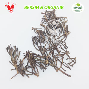 Batang Cengkeh Kering 250 gr Super - Campuran Jamu
