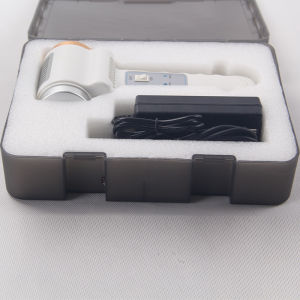 Hot and Cold Facial Hammer Beauty Device with Blue and Red Light Therapy for Skin Rejuvenation and Pore Tightening
