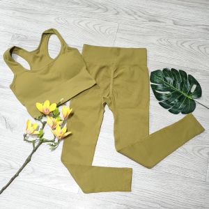 Bộ đồ tập gym yoga aerobic thể thao nữ bao gồm áo bra kèm mút và quần dài chun mông chất liệu thun dệt kim BINSPORTS BD220