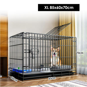 🇸🇬 Folding Metal Dog Crate for PetsPuppy and Animal / Double Door Foldable Dog Cage With Removable Tray / Dog house / Pet cage
