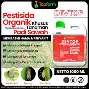 Obat Padi Sundep Paling Ampuh / Obat Padi Sawah / Obat Padi Untuk Hama Wereng / Obat Padi Daun Kuning Kerdil / Obat Padi Daun Kuning / Obat Padi Sawah Mati Pucuk / Obat Hama Khusus Padi