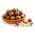 Quả mắc ca Cadita 500g, hạt macca nhập khẩu từ Úc, giàu dinh dưỡng, tốt cho sức khỏe, đặc biệt tốt cho người lớn tuổi, phụ nữ có thai, trẻ em. 