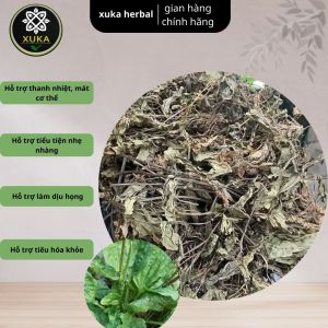 cây mã đề khô nghệ an sạch ít vụn cây mã đề khô hỗ trợ cho người bị thận và đường tiết niệu