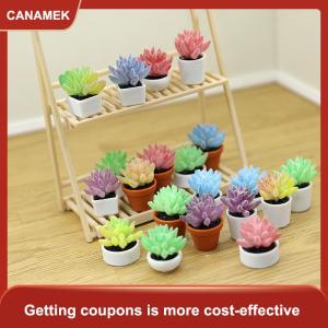 【CANAMEK】 5 cái mô phỏng Mini mọng nước chậu cây mô hình Dollhouse Bonsai trang trí Dollhouse Micro cảnh quan vườn Máy tính để bàn trang trí