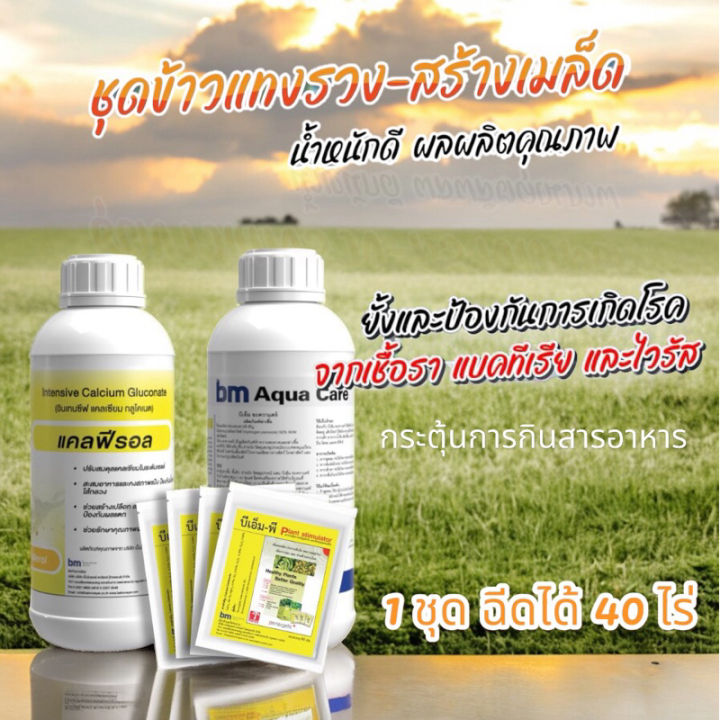 🌾ชุดข้าวแทงรวง-สร้างเมล็ด🌾 น้ำหนักดี ผลผลิตคุณภาพ ลดการหลุดร่วง ...