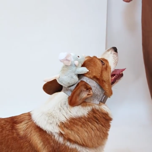 Cats Halloween Costume Hat for Dressup Funny Mouse Riding Headgear Hat for Cats Dogs Lovely Headgear Hat Pet Photo Hat