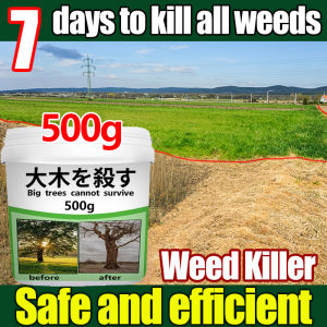 kill grass herbicide 500G weed killer herbicide grass killer chemical for grass and weeds round up grass killer suitable for all types of weeds weeds pest control pamatay damo Weeds and grass killer powder Herbicide demolition grass killer