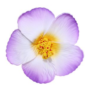 MENGLIANG Romantic Hawaiian Flower Hair Clips Headwear Side Bangs Clip Artificial Flower Clips Fashionable Hair Accessories BB Hair Clips Women