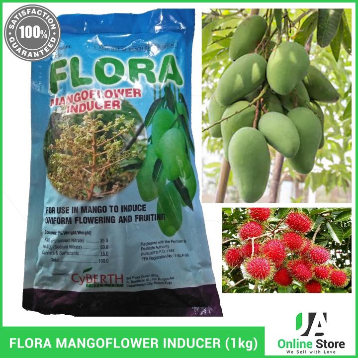 FLORA MANGO FLOWER INDUCER (POTASSIUM NITRATE) 1kg | Lazada PH