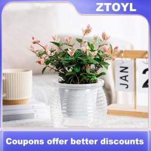 【ZTOYL】 Automatic Water-Absorbing Self-Watering Plant Pots Double Layer Transparent Flower Vase Plastic Home Decorations 1PC
