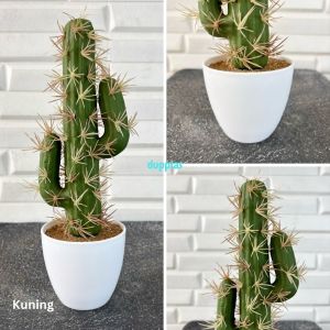 Tanaman Hias Pohon Artificial Kaktus Cowboy Duri Latex Variasi Warna Pot Melamine Mini Dekorasi Meja Kerja