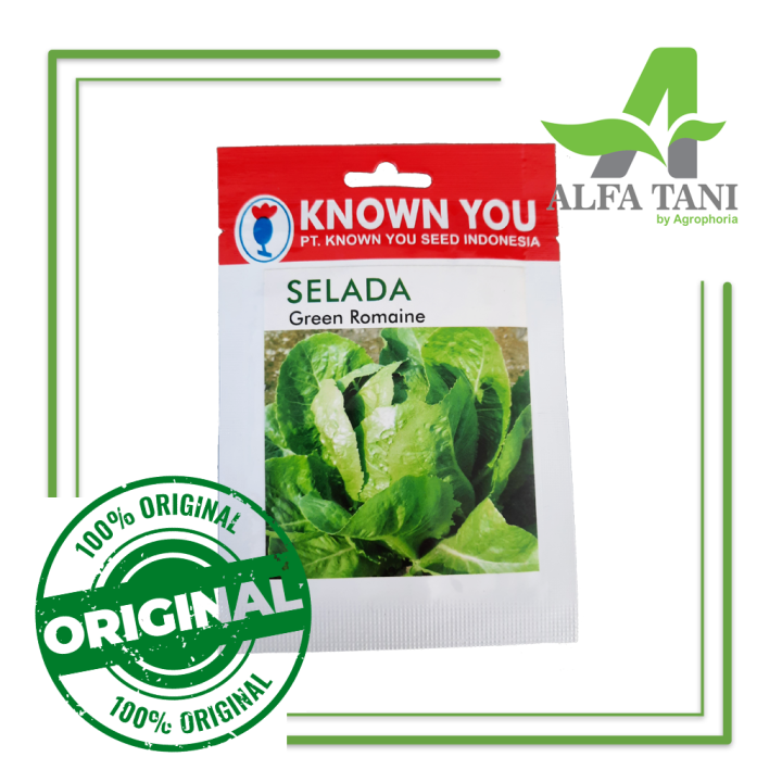 Benih Selada Green Romaine 5 Gram Known You Seed Lazada Indonesia