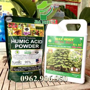 Combo HUMIC MỸ 1Kg Và MAX ROOT BUNG ĐỌT 5 Lit– Dưỡng Cây Khỏe Ra Rễ Cực Nhanh Đâm Chồi Mạnh Mập Thân