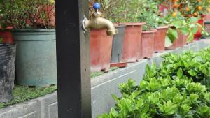 Garden Hose Extension Adapter Hose Kink Protector with Coil Spring Eliminates Hose Crimping and Straining at Faucets and Water Connections Creates Hose Flexibility 2 Pack (Coil Spring)